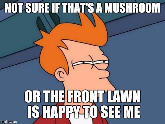 Srsy! | NOT SURE IF THAT'S A MUSHROOM OR THE FRONT LAWN IS HAPPY TO SEE ME | image tagged in memes,futurama fry | made w/ Imgflip meme maker