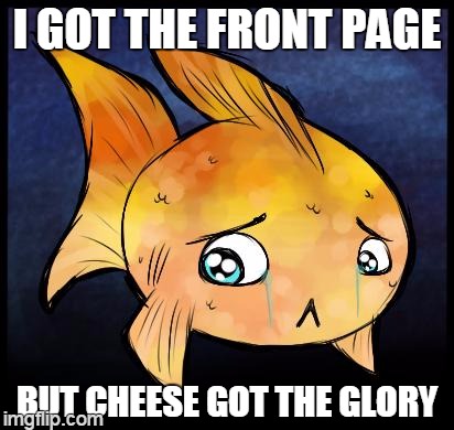 forlorn fillet | I GOT THE FRONT PAGE BUT CHEESE GOT THE GLORY | image tagged in other sad fish,memes | made w/ Imgflip meme maker