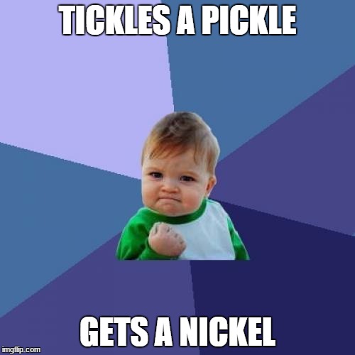 Success Kid | TICKLES A PICKLE GETS A NICKEL | image tagged in memes,success kid | made w/ Imgflip meme maker