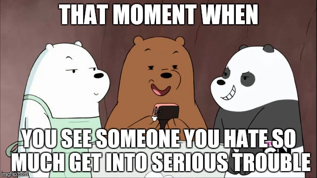 We Bare Bears Sinister | THAT MOMENT WHEN YOU SEE SOMEONE YOU HATE SO MUCH GET INTO SERIOUS TROUBLE | image tagged in we bare bears,grizz,panda,ice bear | made w/ Imgflip meme maker