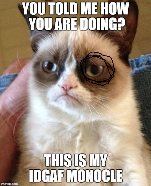 Grumpy Cat Meme | YOU TOLD ME HOW YOU ARE DOING? THIS IS MY IDGAF MONOCLE | image tagged in memes,grumpy cat | made w/ Imgflip meme maker