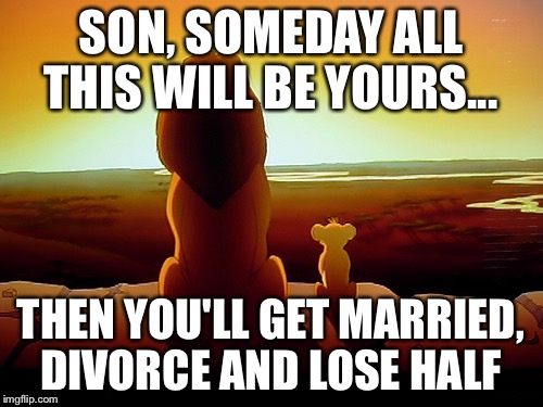 Lion King | SON, SOMEDAY ALL THIS WILL BE YOURS... THEN YOU'LL GET MARRIED, DIVORCE AND LOSE HALF | image tagged in memes,lion king | made w/ Imgflip meme maker