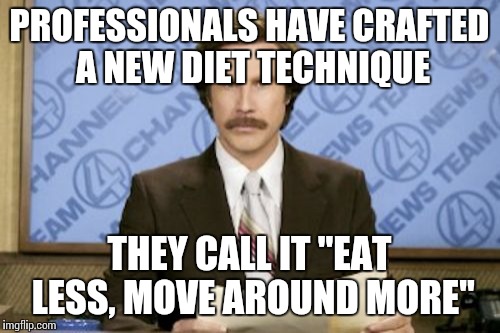 Ron Burgundy | PROFESSIONALS HAVE CRAFTED A NEW DIET TECHNIQUE THEY CALL IT "EAT LESS, MOVE AROUND MORE" | image tagged in memes,ron burgundy | made w/ Imgflip meme maker