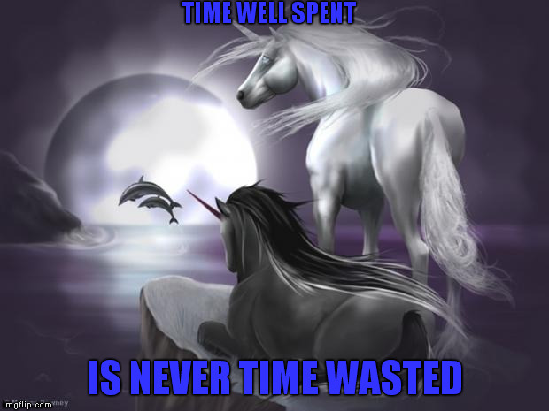 unicorns | TIME WELL SPENT IS NEVER TIME WASTED | image tagged in unicorns | made w/ Imgflip meme maker