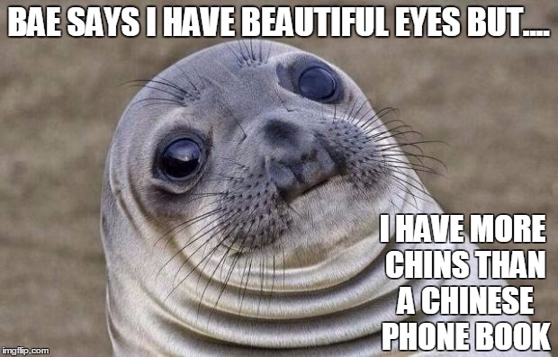 Awkward Moment Sealion | BAE SAYS I HAVE BEAUTIFUL EYES BUT.... I HAVE MORE CHINS THAN A CHINESE PHONE BOOK | image tagged in memes,awkward moment sealion | made w/ Imgflip meme maker