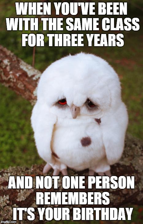 Actually happened to me this year, even though all of our birthdays are literally put in plain sight. | WHEN YOU'VE BEEN WITH THE SAME CLASS FOR THREE YEARS AND NOT ONE PERSON REMEMBERS IT'S YOUR BIRTHDAY | image tagged in sad owl | made w/ Imgflip meme maker