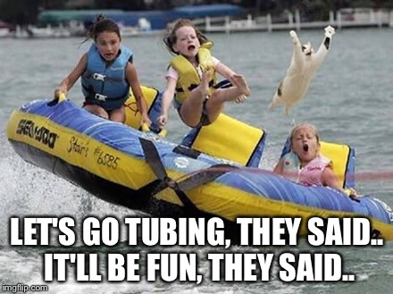Somebody Lied | LET'S GO TUBING, THEY SAID.. IT'LL BE FUN, THEY SAID.. | image tagged in cat tubing,funny memes,funny,memes,cats,funny cats | made w/ Imgflip meme maker