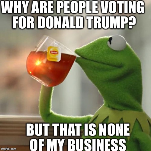 But That's None Of My Business Meme | WHY ARE PEOPLE VOTING FOR DONALD TRUMP? BUT THAT IS NONE OF MY BUSINESS | image tagged in memes,but thats none of my business,kermit the frog | made w/ Imgflip meme maker