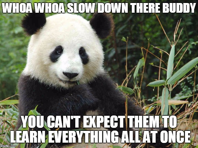 WHOA WHOA SLOW DOWN THERE BUDDY YOU CAN'T EXPECT THEM TO LEARN EVERYTHING ALL AT ONCE | made w/ Imgflip meme maker