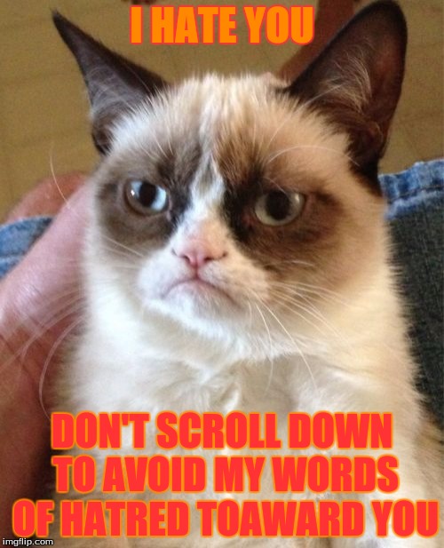 Grumpy Cat | I HATE YOU DON'T SCROLL DOWN TO AVOID MY WORDS OF HATRED TOAWARD YOU | image tagged in memes,grumpy cat | made w/ Imgflip meme maker