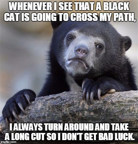 Confession Bear Meme | WHENEVER I SEE THAT A BLACK CAT IS GOING TO CROSS MY PATH, I ALWAYS TURN AROUND AND TAKE A LONG CUT SO I DON'T GET BAD LUCK. | image tagged in memes,confession bear | made w/ Imgflip meme maker