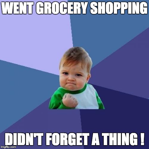 Success Kid | WENT GROCERY SHOPPING DIDN'T FORGET A THING ! | image tagged in memes,success kid | made w/ Imgflip meme maker