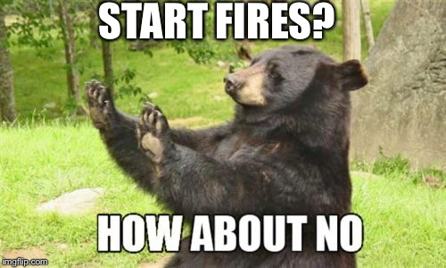 Smokey the How About No Bear | START FIRES? | image tagged in memes,how about no bear,smokey the bear,funny | made w/ Imgflip meme maker