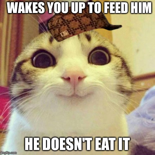 Smiling Cat Meme | WAKES YOU UP TO FEED HIM HE DOESN'T EAT IT | image tagged in memes,smiling cat,scumbag | made w/ Imgflip meme maker