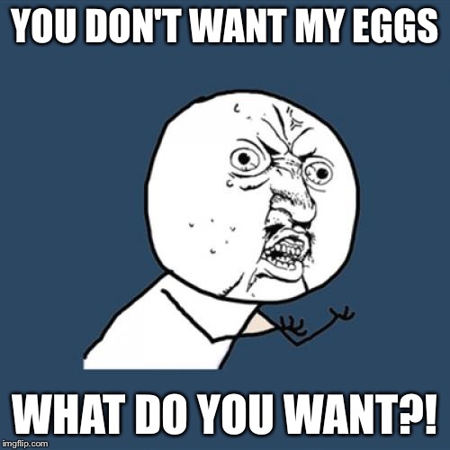 She's hungry | YOU DON'T WANT MY EGGS WHAT DO YOU WANT?! | image tagged in memes,y u no | made w/ Imgflip meme maker