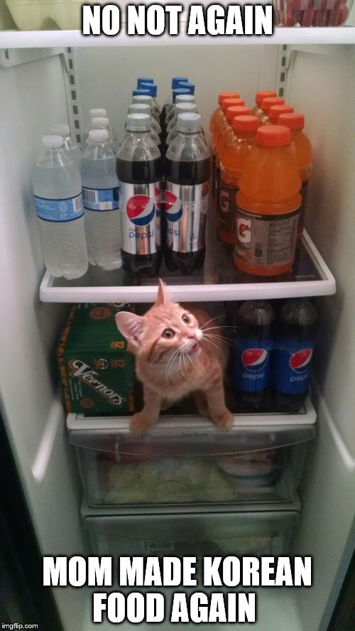 Fridge Kitty | NO NOT AGAIN MOM MADE KOREAN FOOD AGAIN | image tagged in fridge kitty | made w/ Imgflip meme maker