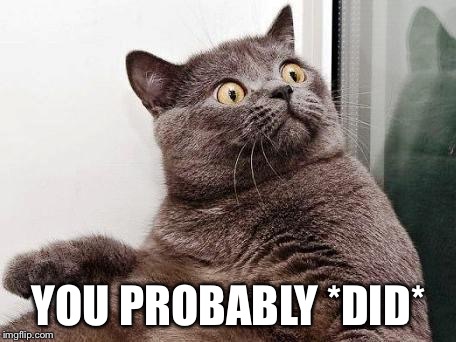 surprised cat | YOU PROBABLY *DID* | image tagged in surprised cat | made w/ Imgflip meme maker
