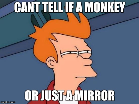 Futurama Fry | CANT TELL IF A MONKEY OR JUST A MIRROR | image tagged in memes,futurama fry | made w/ Imgflip meme maker