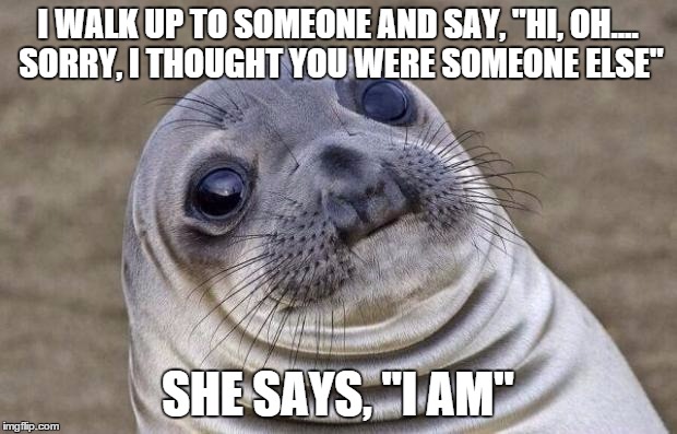 Awkward Moment Sealion | I WALK UP TO SOMEONE AND SAY, "HI, OH.... SORRY, I THOUGHT YOU WERE SOMEONE ELSE" SHE SAYS, "I AM" | image tagged in memes,awkward moment sealion | made w/ Imgflip meme maker