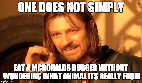 One Does Not Simply | ONE DOES NOT SIMPLY EAT A MCDONALDS BURGER WITHOUT WONDERING WHAT ANIMAL ITS REALLY FROM | image tagged in memes,one does not simply | made w/ Imgflip meme maker