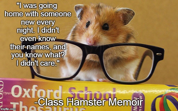 Class Hamster Memoir | "I was going home with someone new every night. I didn't even know their names, and you know what? I didn't care." -Class Hamster Memoir | image tagged in hamster | made w/ Imgflip meme maker