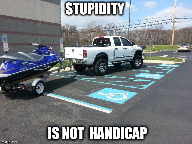 stupidity is not handicap | STUPIDITY IS NOT  HANDICAP | image tagged in stupid,stupid people,stupidity,handicapped parking space,parking,memes | made w/ Imgflip meme maker