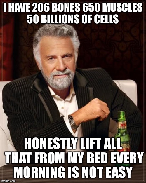 The Most Interesting Man In The World Meme | I HAVE 206 BONES 650 MUSCLES 50 BILLIONS OF CELLS HONESTLY LIFT ALL THAT FROM MY BED EVERY MORNING IS NOT EASY | image tagged in memes,the most interesting man in the world | made w/ Imgflip meme maker