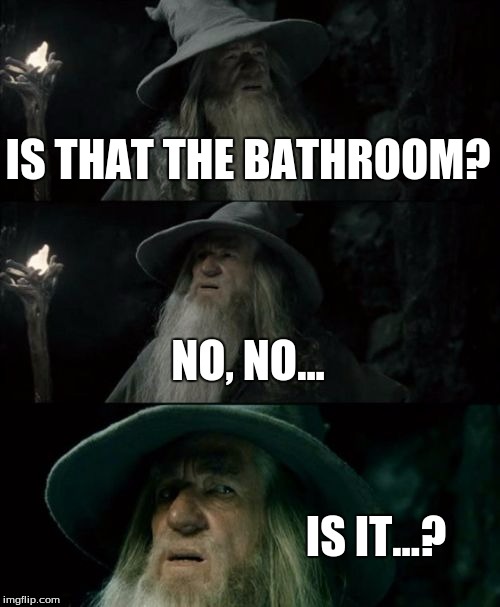 Confused Gandalf | IS THAT THE BATHROOM? NO, NO... IS IT...? | image tagged in memes,confused gandalf | made w/ Imgflip meme maker