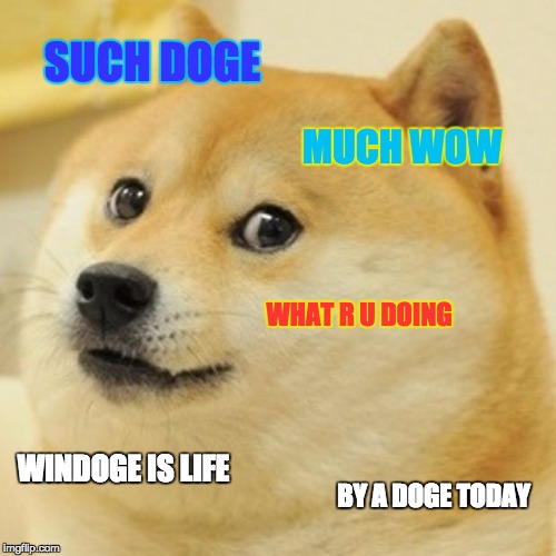 Doge | SUCH DOGE MUCH WOW WHAT R U DOING WINDOGE IS LIFE BY A DOGE TODAY | image tagged in memes,doge | made w/ Imgflip meme maker