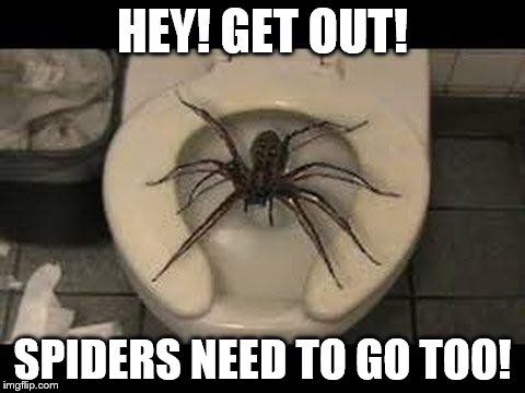 spider toilet | HEY! GET OUT! SPIDERS NEED TO GO TOO! | image tagged in spider toilet | made w/ Imgflip meme maker