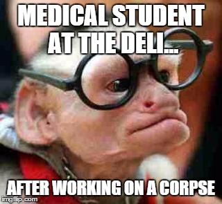 MEDICAL STUDENT AT THE DELI... AFTER WORKING ON A CORPSE | image tagged in monkey | made w/ Imgflip meme maker