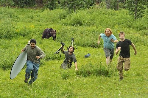 When man is not prepared for nature, this happens | image tagged in funny,fails,animals,photography