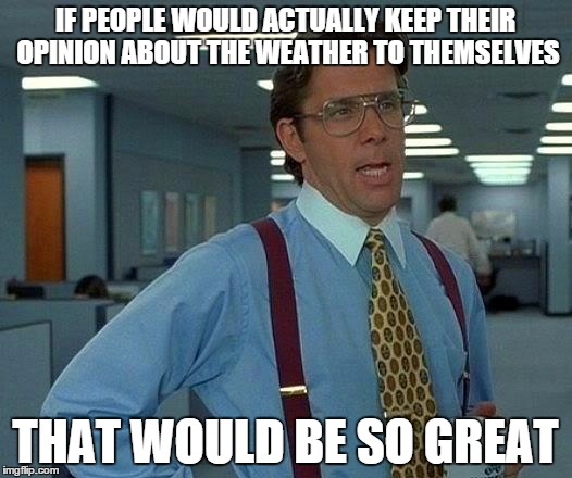 That Would Be Great | IF PEOPLE WOULD ACTUALLY KEEP THEIR OPINION ABOUT THE WEATHER TO THEMSELVES THAT WOULD BE SO GREAT | image tagged in memes,that would be great | made w/ Imgflip meme maker