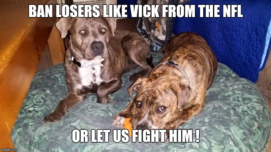 End dog fighting ! | BAN LOSERS LIKE VICK FROM THE NFL OR LET US FIGHT HIM ! | image tagged in animals,dogs | made w/ Imgflip meme maker