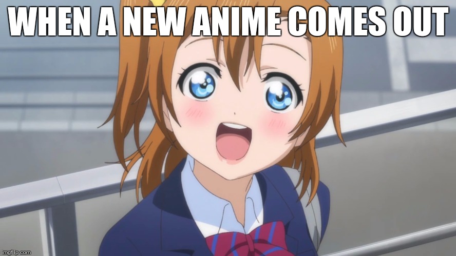  Excited Anime Girl | WHEN A NEW ANIME COMES OUT | image tagged in excited anime girl | made w/ Imgflip meme maker