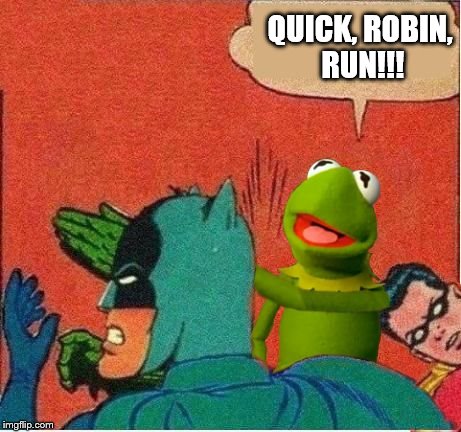 Kermit saves Robin | QUICK, ROBIN, RUN!!! | image tagged in kermit saving robin,memes | made w/ Imgflip meme maker