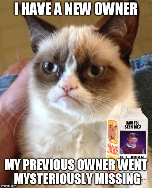 Grumpy Cat | I HAVE A NEW OWNER MY PREVIOUS OWNER WENT MYSTERIOUSLY MISSING | image tagged in grumpy cat,bad luck brian,memes | made w/ Imgflip meme maker