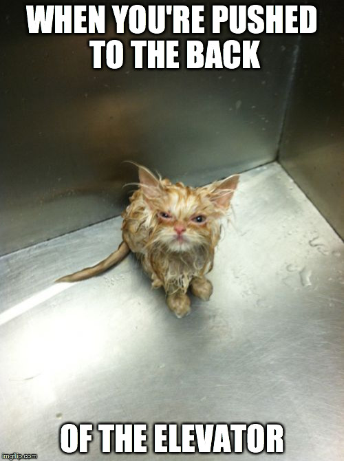 Kill You Cat | WHEN YOU'RE PUSHED TO THE BACK OF THE ELEVATOR | image tagged in memes,kill you cat | made w/ Imgflip meme maker