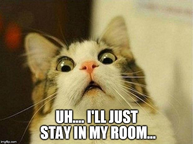 scared cat | UH.... I'LL JUST STAY IN MY ROOM... | image tagged in scared cat | made w/ Imgflip meme maker