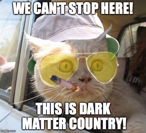 Fear And Loathing Cat Meme | WE CAN'T STOP HERE! THIS IS DARK MATTER COUNTRY! | image tagged in memes,fear and loathing cat | made w/ Imgflip meme maker