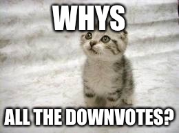 Sad Cat Meme | WHYS ALL THE DOWNVOTES? | image tagged in memes,sad cat,funny,downvote fairy | made w/ Imgflip meme maker