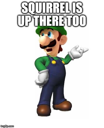 Logic Luigi | SQUIRREL IS UP THERE TOO | image tagged in logic luigi | made w/ Imgflip meme maker