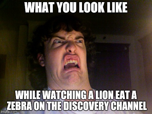 Oh nooooo!!!! | WHAT YOU LOOK LIKE WHILE WATCHING A LION EAT A ZEBRA ON THE DISCOVERY CHANNEL | image tagged in memes,oh no | made w/ Imgflip meme maker