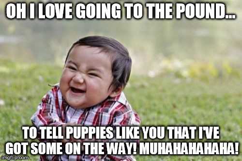 Evil Toddler Meme | OH I LOVE GOING TO THE POUND... TO TELL PUPPIES LIKE YOU THAT I'VE GOT SOME ON THE WAY! MUHAHAHAHAHA! | image tagged in memes,evil toddler | made w/ Imgflip meme maker