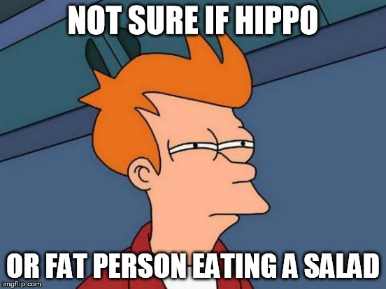 Futurama Fry Meme | NOT SURE IF HIPPO OR FAT PERSON EATING A SALAD | image tagged in memes,futurama fry | made w/ Imgflip meme maker