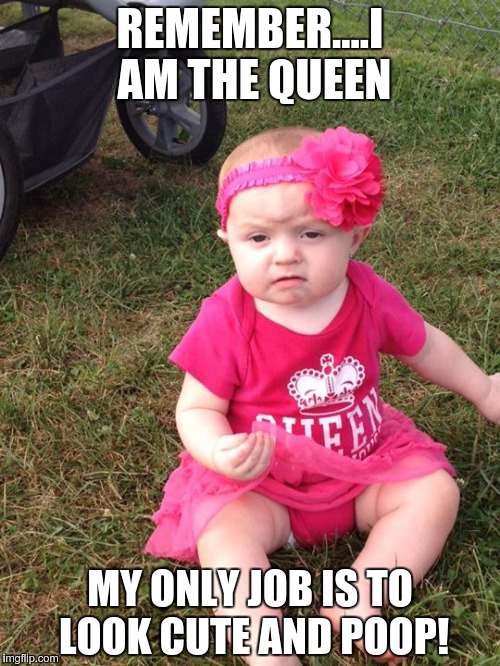 REMEMBER....I AM THE QUEEN MY ONLY JOB IS TO LOOK CUTE AND POOP! | made w/ Imgflip meme maker