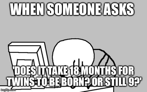 Computer Guy Facepalm Meme | WHEN SOMEONE ASKS 'DOES IT TAKE 18 MONTHS FOR TWINS TO BE BORN? OR STILL 9?' | image tagged in memes,computer guy facepalm | made w/ Imgflip meme maker