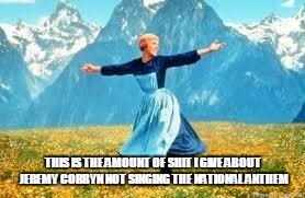 Look At All These | THIS IS THE AMOUNT OF SHIT I GIVE ABOUT JEREMY CORBYN NOT SINGING THE NATIONAL ANTHEM | image tagged in memes,look at all these | made w/ Imgflip meme maker