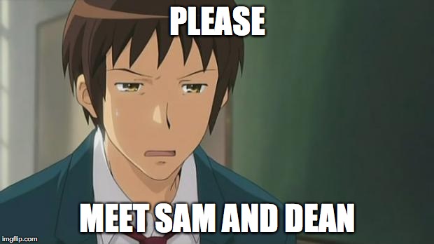 Kyon WTF | PLEASE MEET SAM AND DEAN | image tagged in kyon wtf | made w/ Imgflip meme maker