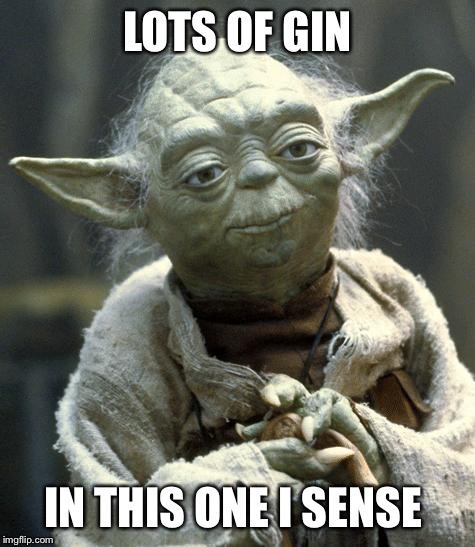 Star Wars Yoda | LOTS OF GIN IN THIS ONE I SENSE | image tagged in yoda | made w/ Imgflip meme maker